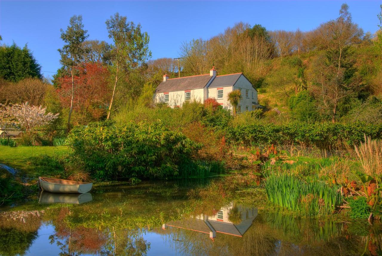 Holiday Cottage Falmouth Penryn Exteriör bild