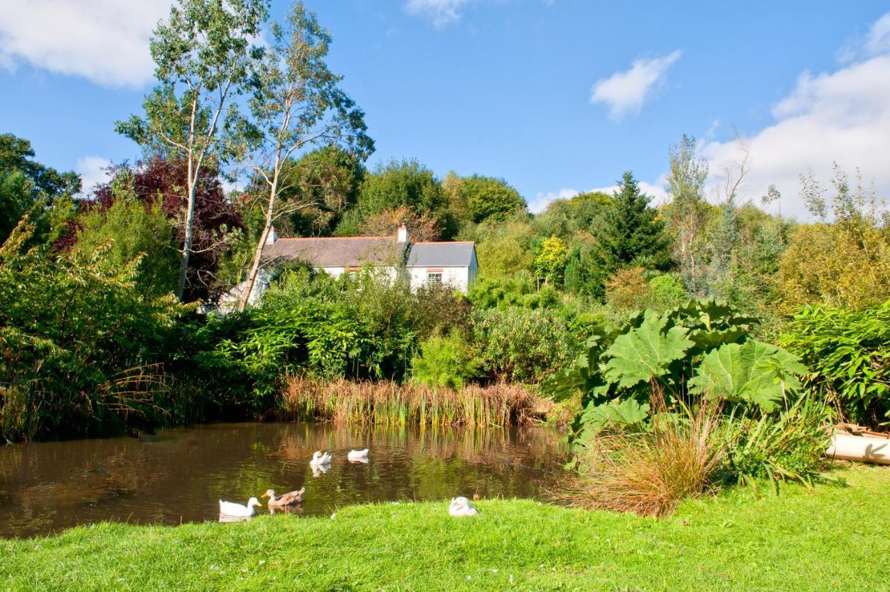 Holiday Cottage Falmouth Penryn Exteriör bild